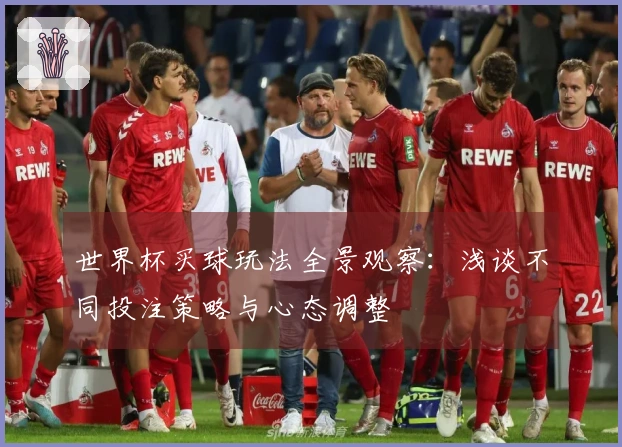 世界杯买球玩法全景观察：浅谈不同投注策略与心态调整