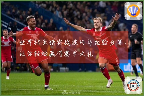 世界杯竞猜实战技巧与经验分享，让你轻松赢得赛季大礼