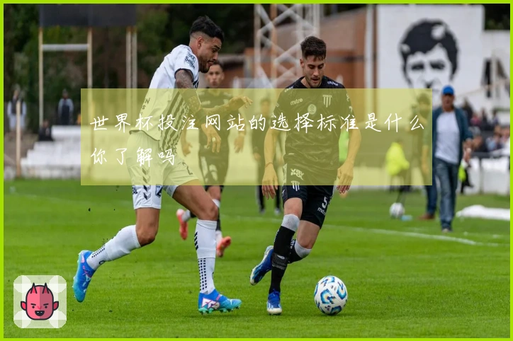 世界杯投注网站的选择标准是什么你了解吗