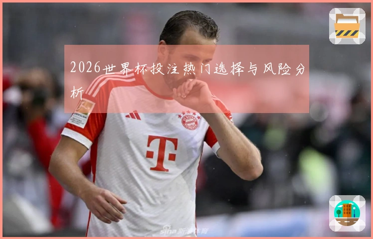 2026世界杯投注热门选择与风险分析