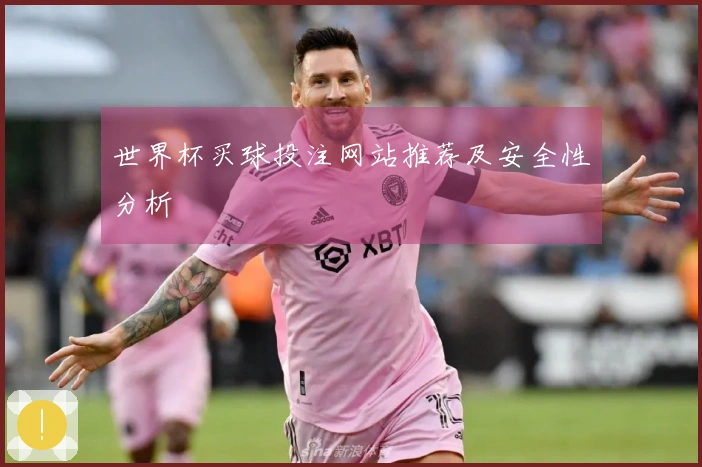 世界杯买球投注网站推荐及安全性分析