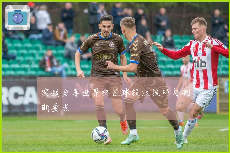 实战分享世界杯让球投注技巧与判断要点