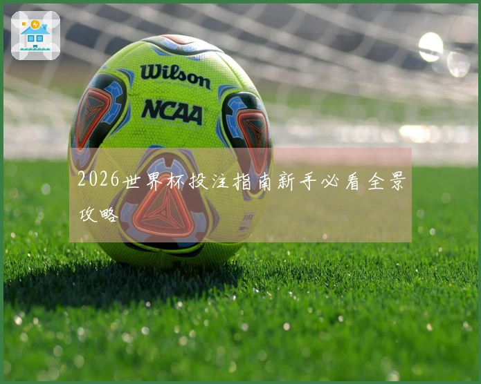 2026世界杯投注指南新手必看全景攻略