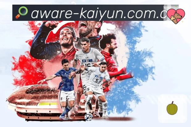 开云APP 高清赛事图